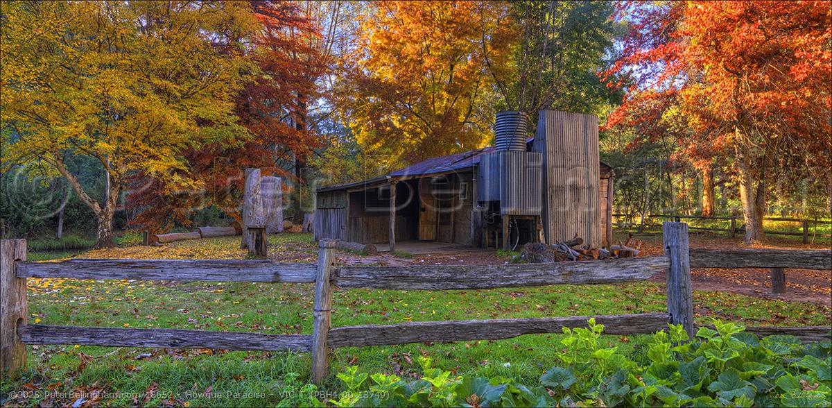 Peter Bellingham Photography Howqua Paradise - VIC T (PBH4 00 13749)